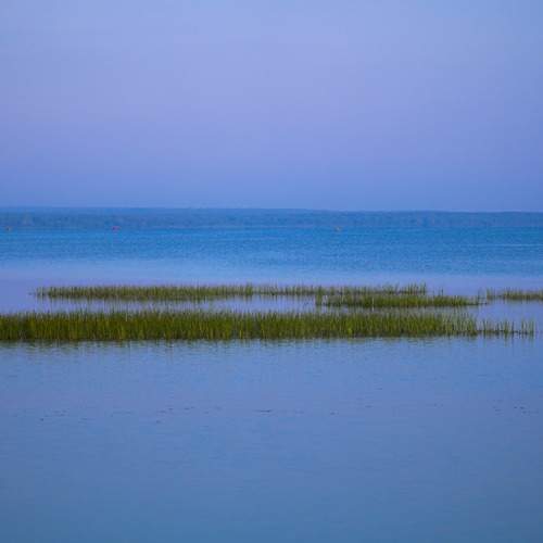 Photo #13203009