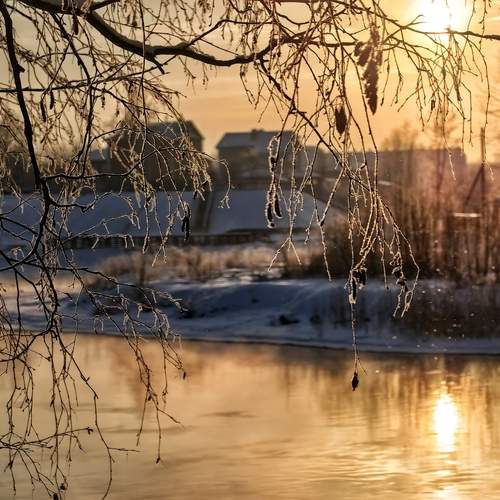 Winter sun