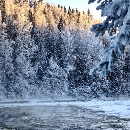 An ice-free river