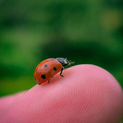 Photo #13203210