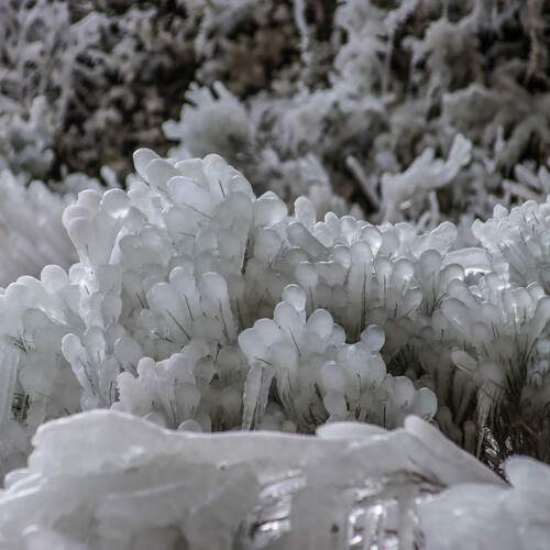 Photo #13203228