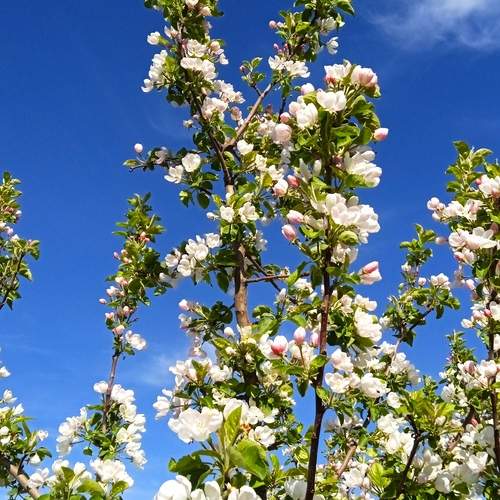 Photo #13203328
