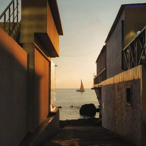 Photo #13203553