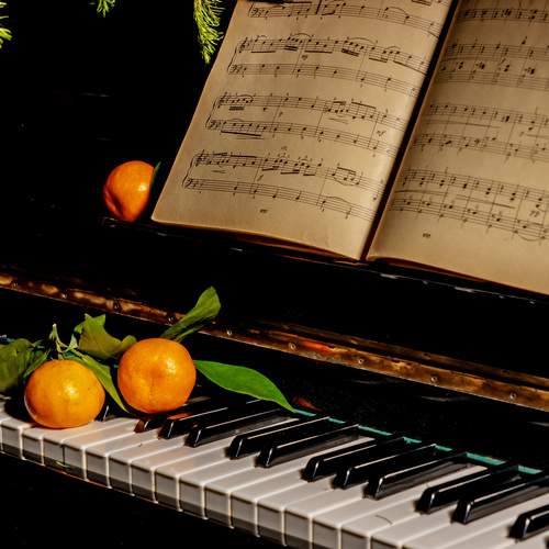 Фотография #13203713