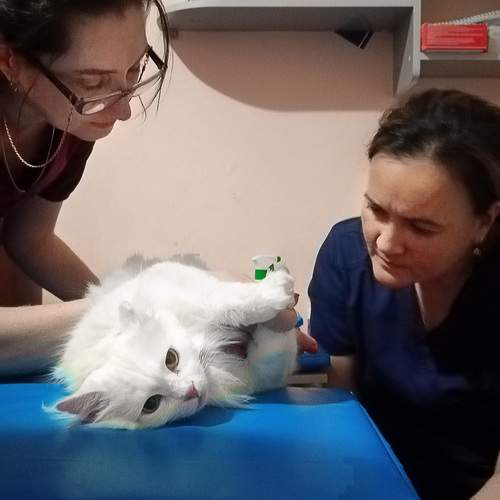 Photo #13203794