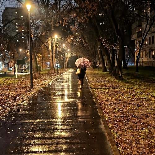 Photo #13203798