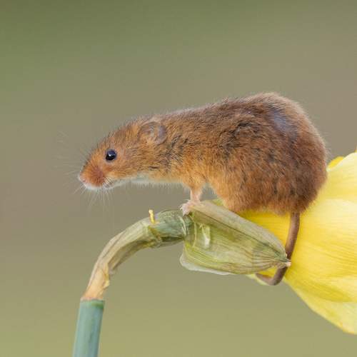 Photo #13203829