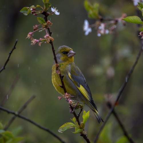 Фотография #13203841