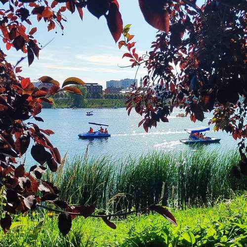 Photo #13203949