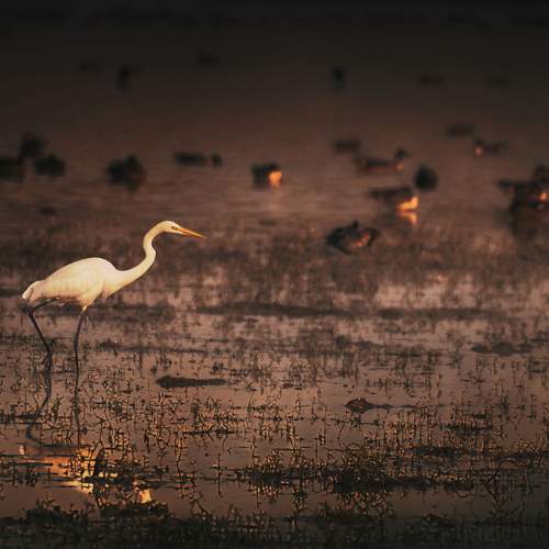 Photo #13204056