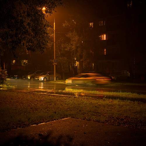 Photo #13204327