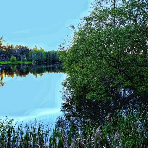 Photo #13204408
