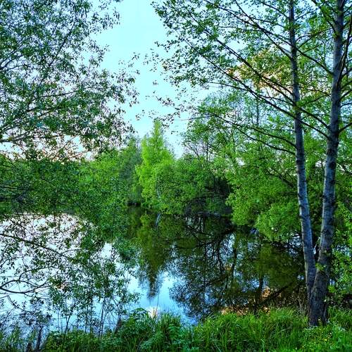 Photo #13204410