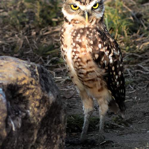 Photo #13204682
