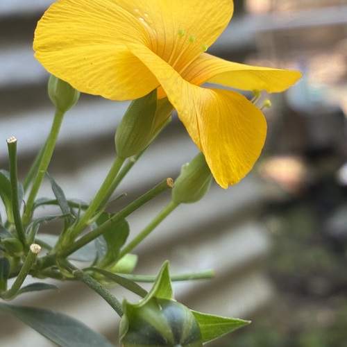 Photo #13204806