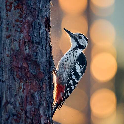 Фотография #13205008