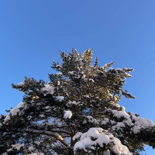 Photo #13205067