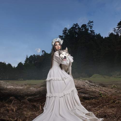Photo #13205150