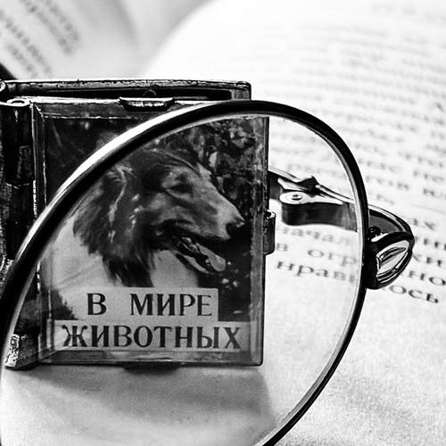 Photo #13205259