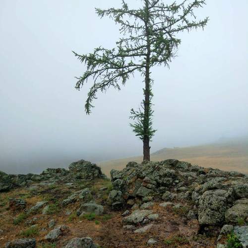 Photo #13205349