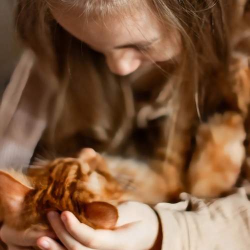 Photo #13205383