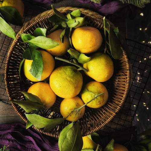Photo #13205430