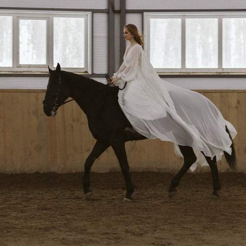 Фотография #13205435