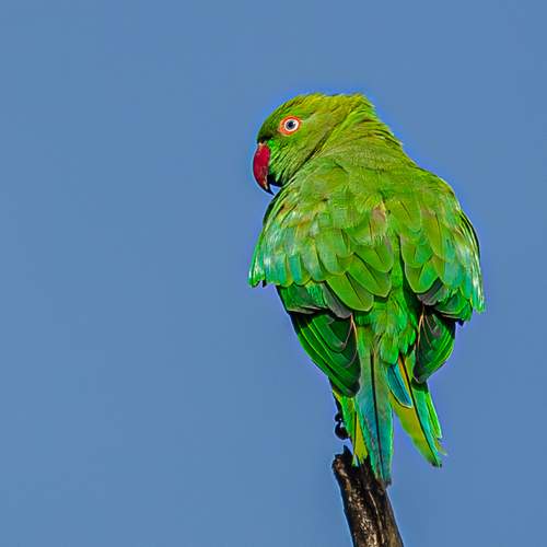 Фотография #13205439