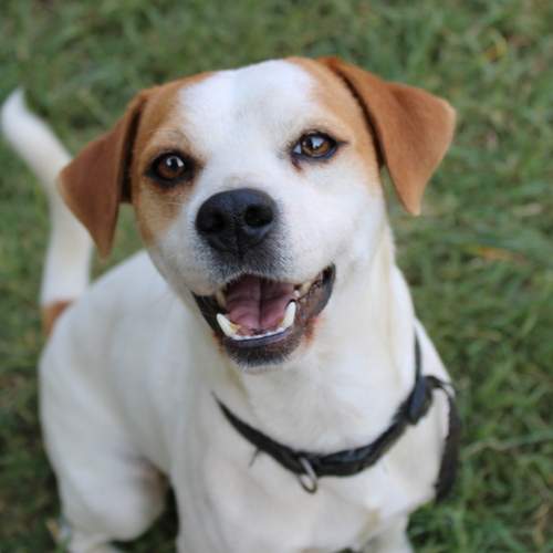 Photo #13205523