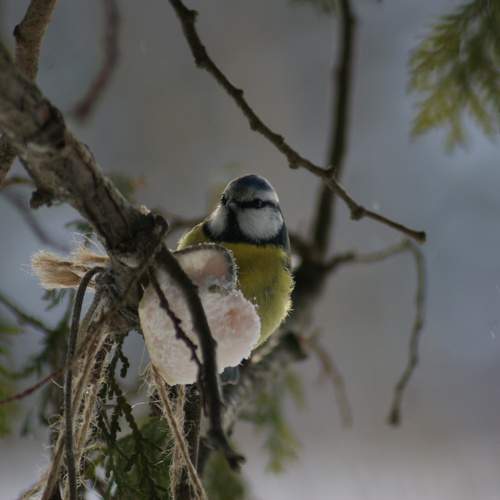 Photo #13205553