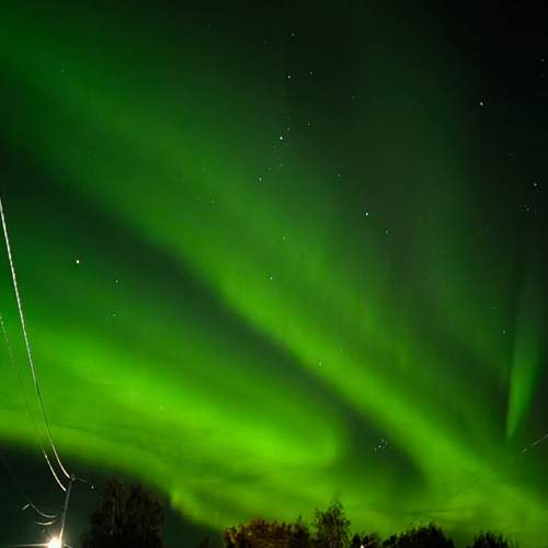 Photo #13205616