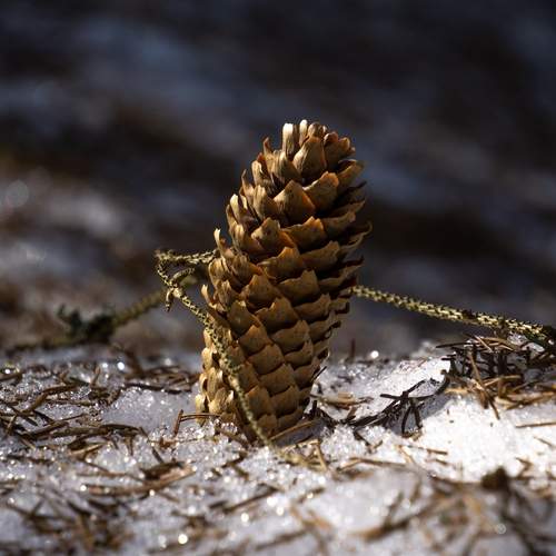 Фотография #13205722