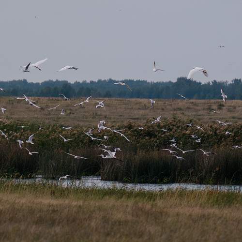 Photo #13206012