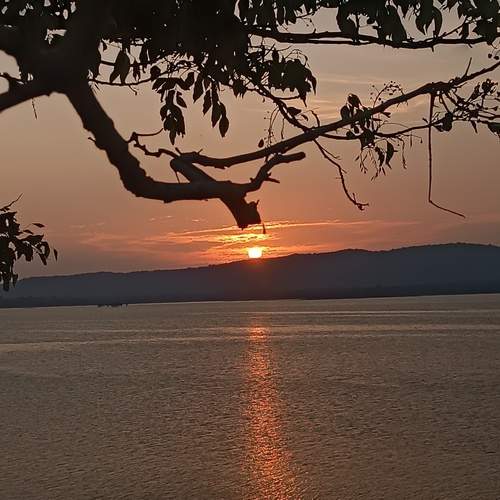 Photo #13206051