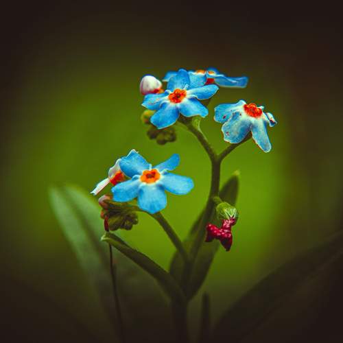 Photo #13206058