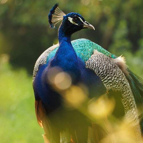 Photo #13206082