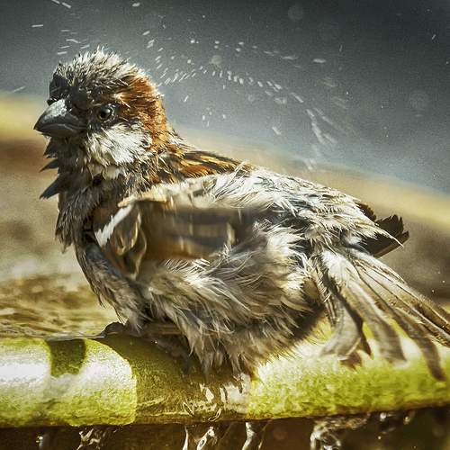 Фотография #13206158