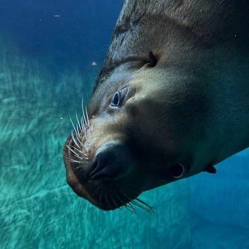 Photo #13206206