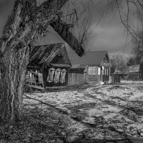 Photo #13206231