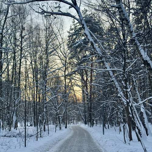 Photo #13206284