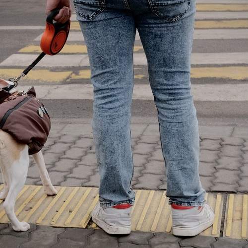 Photo #13206373