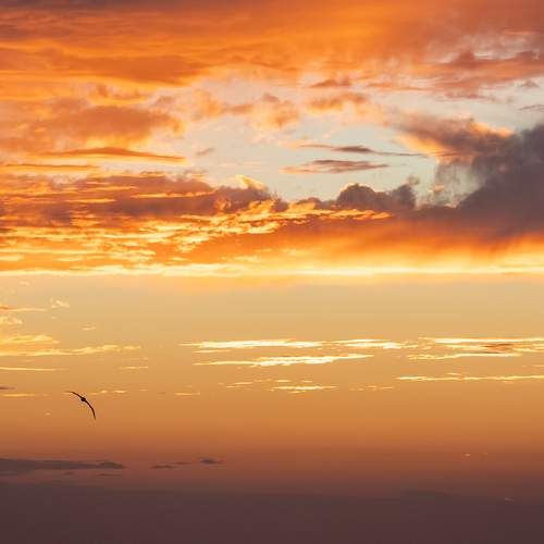Photo #13206515