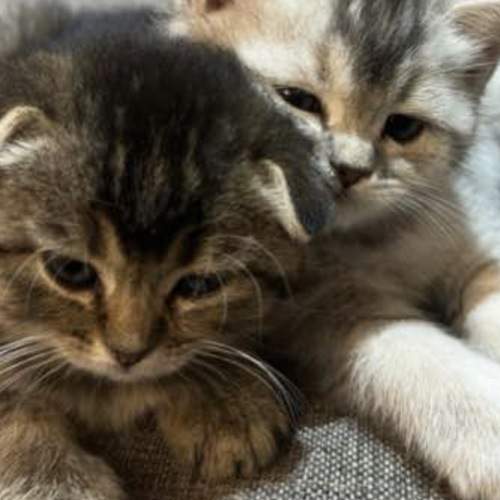 Photo #13206536