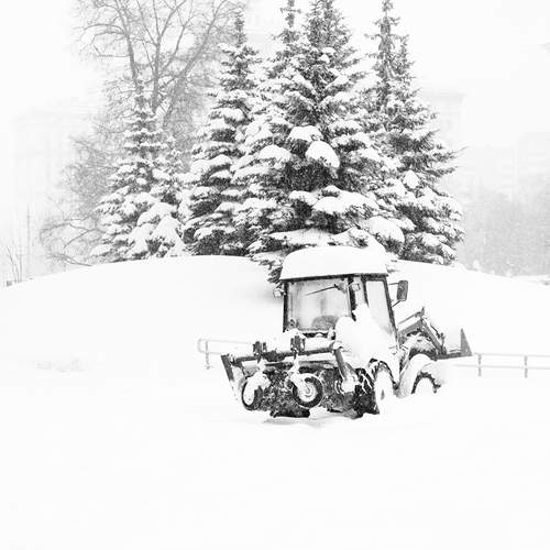 Photo #13206568