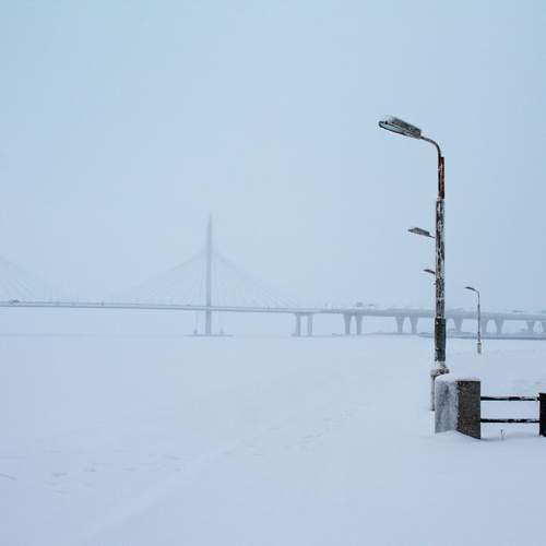Photo #13206611