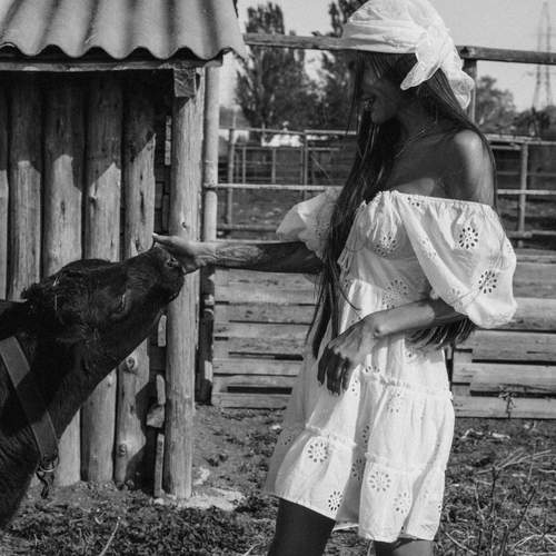 Photo #13206624