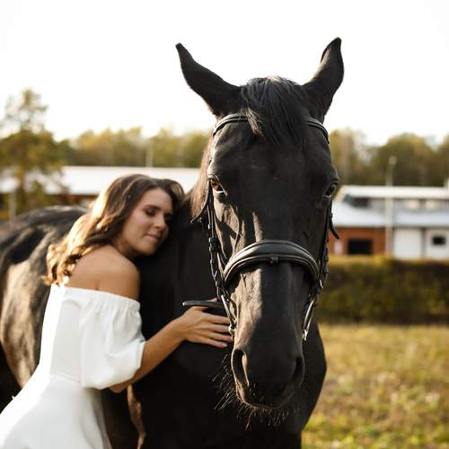 Photo #13206629