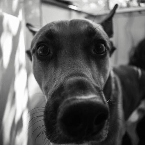 Photo #13206721