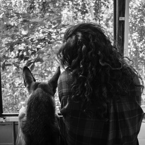 Photo #13206722