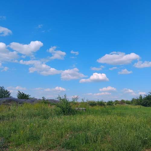 Photo #13206776